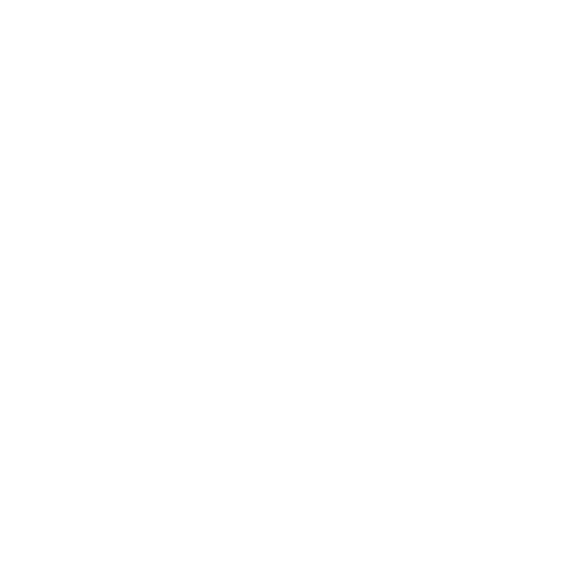 SPIN-02